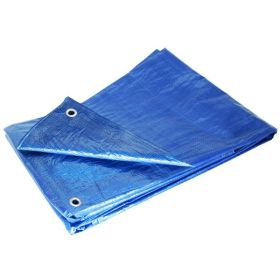 Blue 20 x 30 Tarp