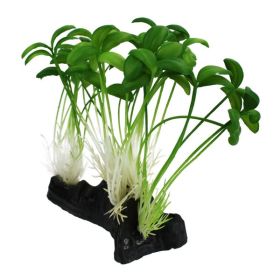 Komodo Sprout Plant 1ea-One Size