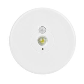 Rite Lite Motion Activated LED Ceiling Light - LPL1003